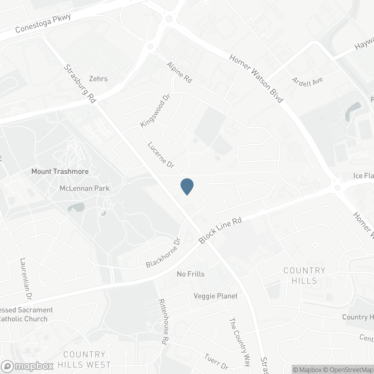 165 SELKIRK DRIVE, Kitchener, Ontario N2E 1M5